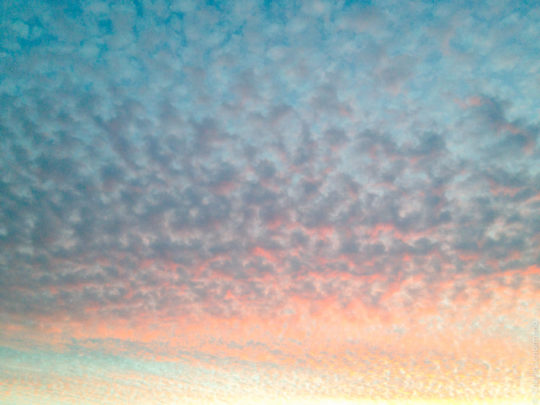 charlie lenormand skies photograph 2